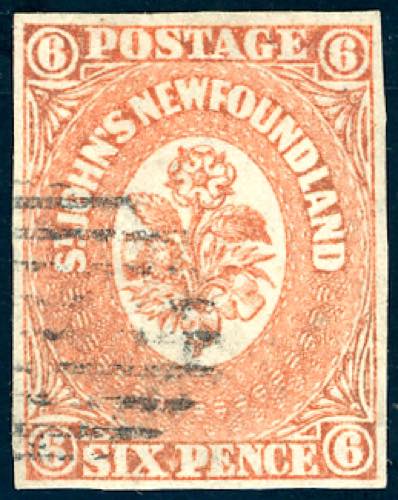 TERRANOVA NEWFOUNDLAND 1860 - 6 d. ... 