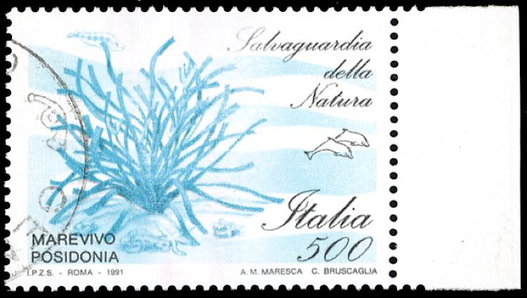 1991 - 500 lire Salvaguardia della ... 