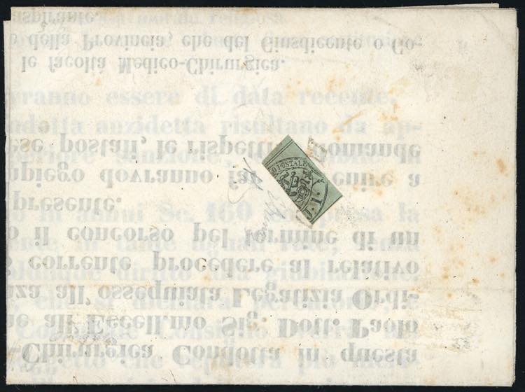 1854 - 1 baj grigiastro (2), ... 