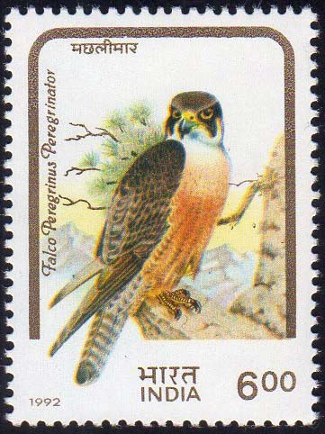 INDIA 1992 - 6 r. Falco ... 