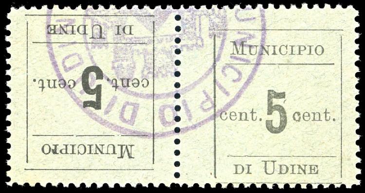 UDINE 1918 - 5 cent. nero su ... 
