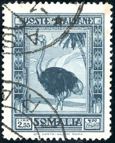 1938 - 2,55 lire Pittorica, dent. ... 