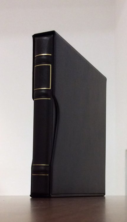 SUD AFRICA 1925/54 - Bellinsieme ... 