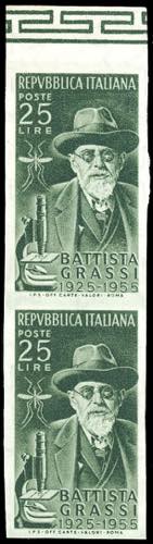 1955 - 25 lire Grassi, coppia non ... 
