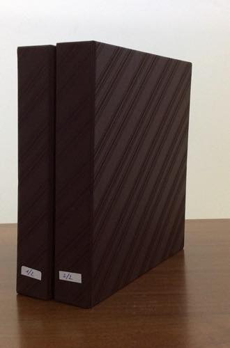 ARGENTINA 1858/1984 - Collezione ... 