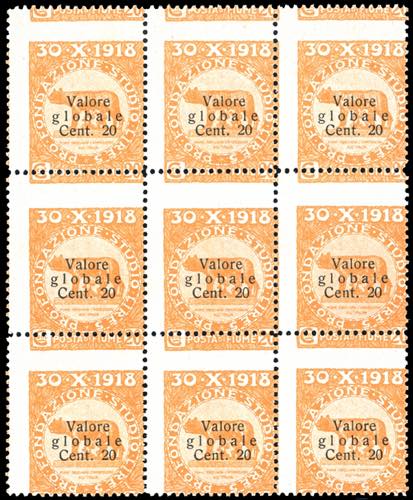 FIUME 1919 - 20 cent. su 20 cent. ... 