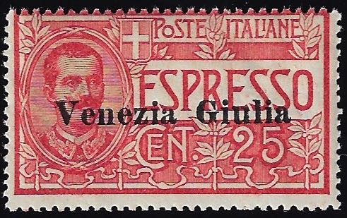 VENEZIA GIULIA ESPRESSI 1919 - 25 ... 