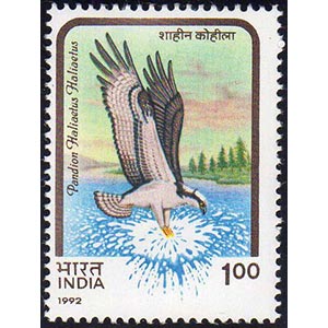 INDIA 1992 - 1 r. Pandion Haliaetus, serie ... 