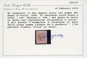 1893 - 20 cent. rosso bruno  e ... 