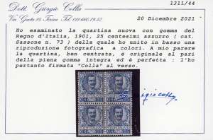 1901 - 25 cent. Floreale (73), ... 