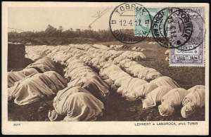 1917 - 5 cent. Leoni soprastampato (3), in ... 