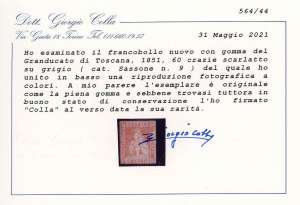 1860 - 60 crazie scarlatto su ... 