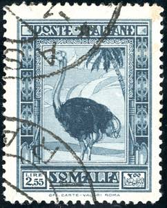 1938 - 2,55 lire Pittorica, dent. 14 (226), ... 