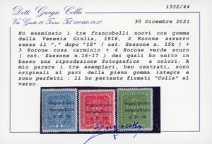 VENEZIA GIULIA 1918 - 2,3 e 4 Kr. ... 