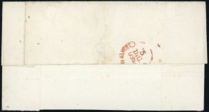 TERLIZZI, lineare + svolazzo e ... 