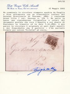 1860 - 1 cent. bruno lilla (17b), ... 