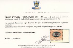 1891 - 30 cent. su 2 cent. ... 