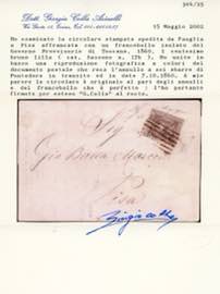 1860 - 1 cent. bruno lilla (17b), ... 