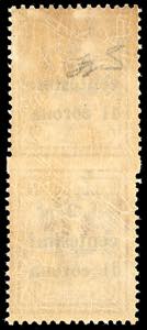 TRENTO E TRIESTE 1919 - 2 cent. su ... 