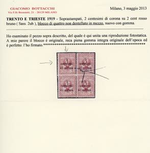 TRENTO E TRIESTE 1919 - 2 cent. su ... 