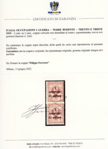 TRENTO E TRIESTE 1919 - 2 cent. su ... 