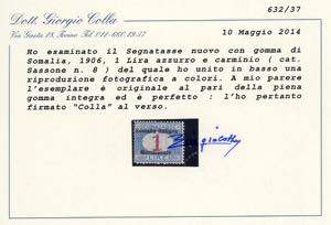 SEGNATASSE 1906 - Soprastampati ... 