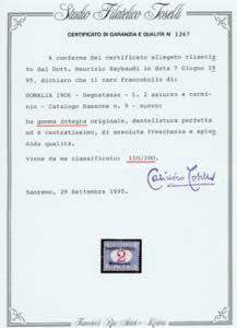 SEGNATASSE 1906 - Soprastampati ... 