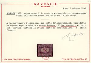 SEGNATASSE 1906 - Soprastampati ... 