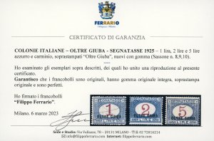 SEGNATASSE 1925 - Soprastampati, ... 