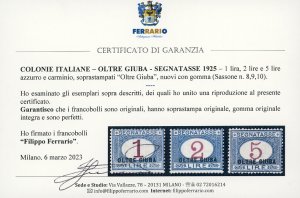 SEGNATASSE 1925 - Soprastampati, ... 