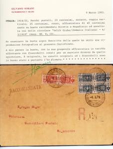 PACCHI POSTALI 1919 - 10 cent., ... 