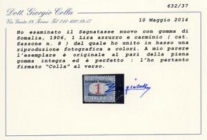 SEGNATASSE 1906 - Soprastampati ... 