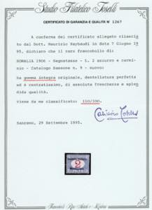 SEGNATASSE 1906 - Soprastampati ... 