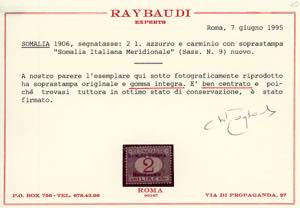 SEGNATASSE 1906 - Soprastampati ... 