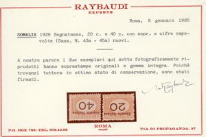 SEGNATASSE 1926 - Cifre nere, ... 