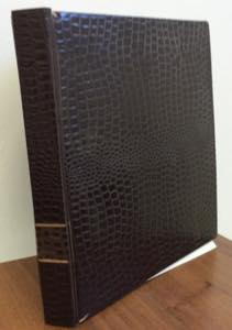 AREA ITALIANA 1850/1945 - Album contenente ... 