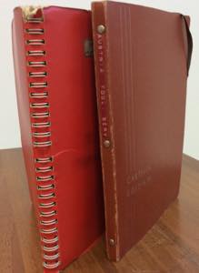 AUSTRIA 1922/1976 - Accumulazione ... 