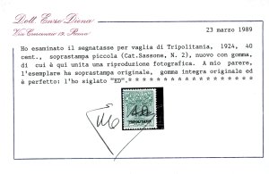 SEGNATASSE VAGLIA 1924 - ... 