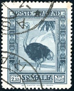 1938 - 2,55 lire Pittorica, dent. 14 (226), ... 