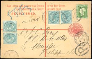 NEW SOUTH WALES 1901 - 3 p. busta ... 