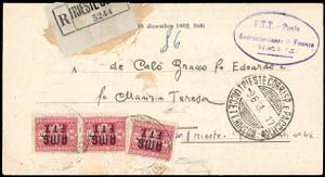 SEGNATASSE 1949 - 20 lire (4), coppia e ... 