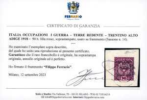 TRENTINO ALTO ADIGE 1918 - 90 h. ... 