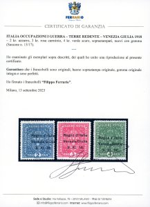 VENEZIA GIULIA 1918 - 2 k., 3 k. e ... 