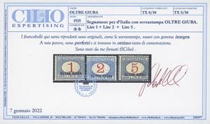 SEGNATASSE 1925 - Soprastampati, ... 