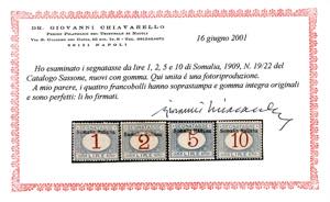 SEGNATASSE 1909 - Soprastampati in ... 