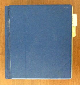 AREA ITALIANA 1861/1960 - Bella collezione ... 