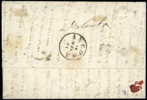 1861 - 20 grana bistro olivastro ... 