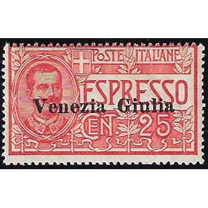 VENEZIA GIULIA ESPRESSI 1919 - 25 cent. ... 