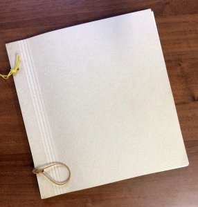 TRIESTE A AMG-FTT 1947/1954 - Collezione ... 