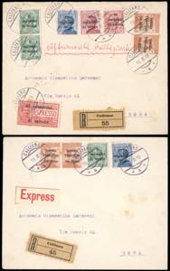 TRENTINO ALTO ADIGE 1919 - 20 h. su 20 cent. ... 